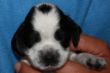 IMG_1091.JPG