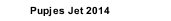 Pupjes Jet 2014