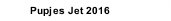 Pupjes Jet 2016