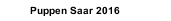 Puppen Saar 2016