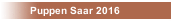 Puppen Saar 2016